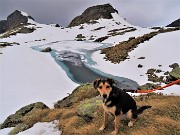 Crocus al Monte Campo, disgelo al lago di Pietra Quadra-3magg23